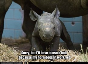 Sorry, but I'll have to use a bell  because my horn doesn't work yet