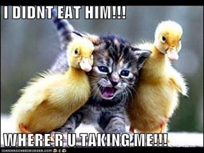 I DIDNT EAT HIM!!!  WHERE R U TAKING ME!!!