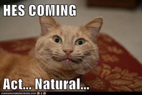 HES COMING  Act... Natural...