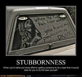 STUBBORNNESS