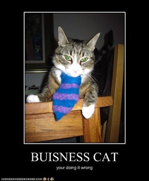 BUISNESS CAT