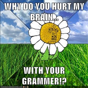 WHY DO YOU HURT MY BRAIN...  WITH YOUR GRAMMER!?