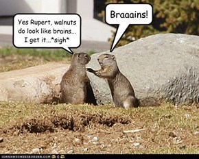 Braaains!
