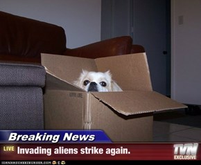 Breaking News - Invading aliens strike again.