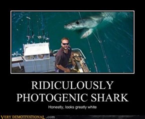 RIDICULOUSLY PHOTOGENIC SHARK