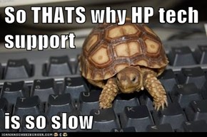 So THATS why HP tech support  is so slow