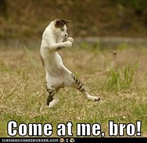 Come at me, bro!