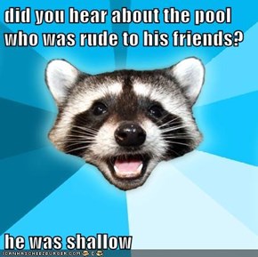 did you hear about the pool who was rude to his friends?  he was shallow