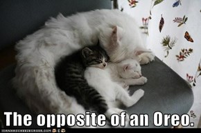The opposite of an Oreo.