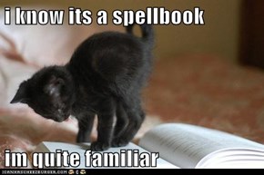 i know its a spellbook  im quite familiar