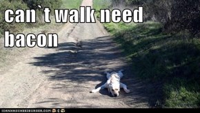 can`t walk need bacon