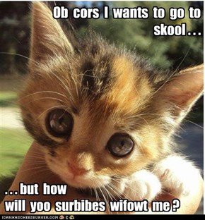 Ob  cors  I  wants  to  go  to  skool . . .