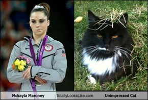 Mckayla Maroney Totally Looks Like Unimpressed Cat