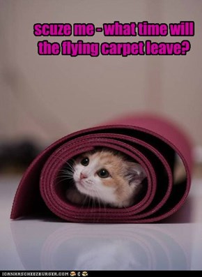 scuze me - what time will the flying carpet leave?