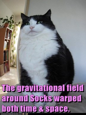 The gravitational field around Socks warped both time & space.