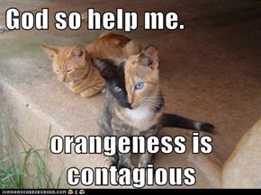 God so help me.  orangeness is contagious