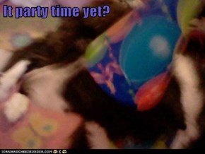 It party time yet?