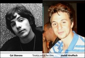 Cat Stevens Totally Looks Like mehdi khoffech