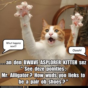 KKPS: Adbentures ob BWAVE ASPLORER KITTEH are most popular for storytime!