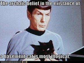 Classic LOLcat