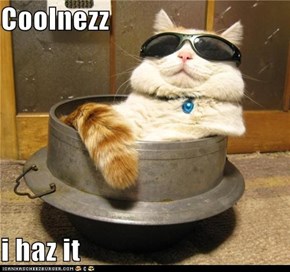 Classic LOLcat