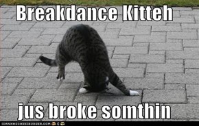 Classic LOLcat