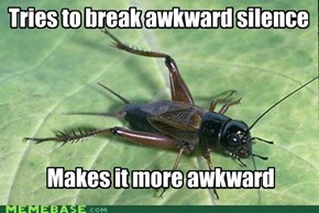 Misunderstood Cricket