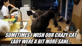 SOMETIMES I WISH OUR CRAZY CAT LADY WERE A BIT MORE SANE...