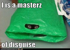 I is a masterz  of disguise