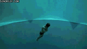 Deepest Swimming Pool In The World