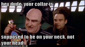 hey dude, your collar is  supposed to be on your neck, not your head.
