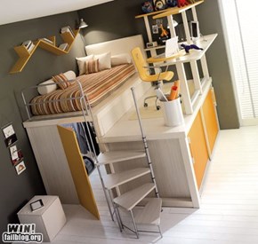 Dorm Design WIN