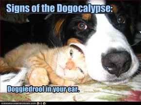 Signs of the Dogocalypse: