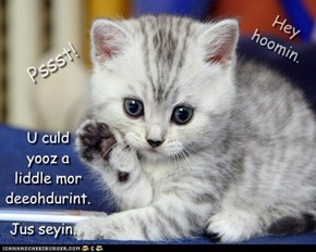 If u has da purrfooms, poor dem on tew, kai?