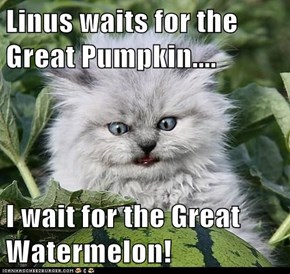 Linus waits for the Great Pumpkin....  I wait for the Great Watermelon!
