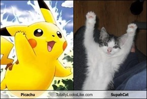 Picachu Totally Looks Like SupahCat