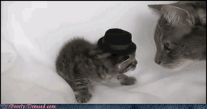 That Hat is SO Not You