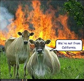 We're not from California.