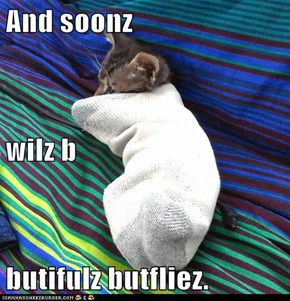 And soonz  wilz b butifulz butfliez.