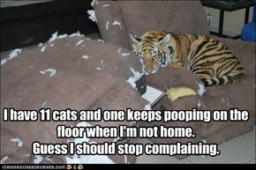 I have 11 cats and one keeps pooping on the floor when I'm not home. Guess I should stop complaining.