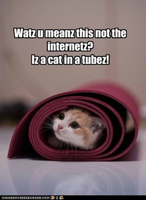 Watz u meanz this not the internetz? Iz a cat in a tubez!