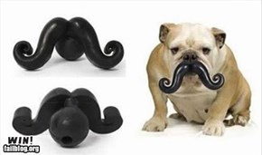 Mustache WIN!