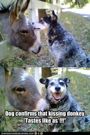 Dog confirms that kissing donkey "Tastes like as*!!!"