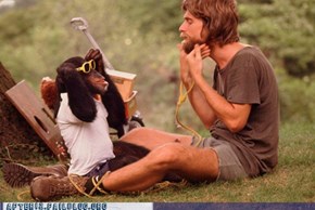 Crunk Critters: Pretty Sure This is How "Planet of the Apes" Started