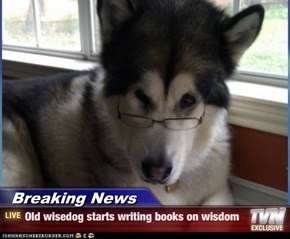 Breaking News - Old wisedog starts writing books on wisdom