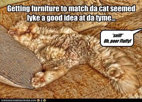 Getting furniture to match da cat seemed lyke a good idea at da tyme...