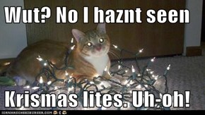 Wut? No I haznt seen  Krismas lites. Uh-oh!