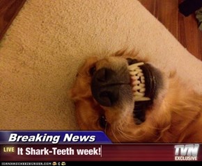 Breaking News - It Shark-Teeth week!