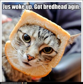 Bredhead agin!