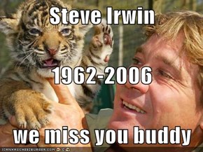 Steve Irwin 1962-2006 we miss you buddy